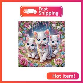 At175 Aiyuanzsh Diy Diamond Art Painting Kits For Adults 5d Special Shape Crystal Rhi
