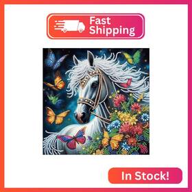 At209 Aiyuanzsh 5d Special Shape Diamond Art Kits For Beginners Painting A