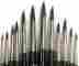 Art995 Ga Squirrel Hair Round Style Paint Brush Set 12pcs