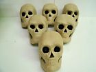 Darice Lot Of 6 Ready To Paint Paper Mache Halloween Decor 3d Skull 5.5 082676681738