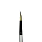 00018376019311 F-492018 Dynasty Black Silver Short Handle Brushes Bright Size