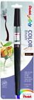 Gflbp141  Pentel Arts Color Brush Sepia 785525640886