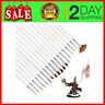 H-18 Hstar Small Enamel Paint Brushes Set Pieces Detail 732694130366