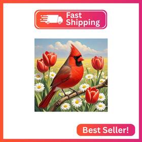 Hf-a066 Hill Froeistung Diamond Painting Kits For Adults Cardinal Round Full Drill Diam