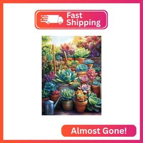 B20124-us Jaki Succulents Diamond Painting Kits For Adults Beginners-succulents Plant Diam