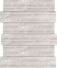 Plank-16 Jbp1002 Hampton Art Jillibean Soup 729632169830