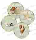 Lab425 Shabby Waterslide Decals Vintage Grunge Beach Seashore Shells Labels