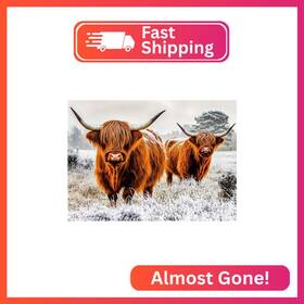 61-11986 Lxmsja Highland Cows Diamond Art Kits For Adults Winter Field Painting