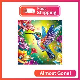 At092 Mvvmtop Diamond Painting Art Kit Diy Hummingbird And Flower 5d Special Shape Cr
