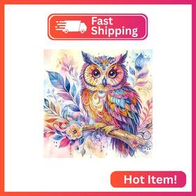 At096 Mvvmtop Diamond Art Painting Kit Diy Colored Owl 5d Special Shape Crystal Diamo