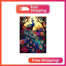 Zsh-kq1-1216 Naykow Diamond Art Kits For Adults Peacock Painting Stained Glas