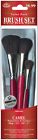 Camel-3 Pack Brush Set Pkg Value