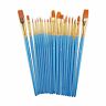 Paintbrushes2pack Heartybay Paint Brush Set By Pcs Nylon Hair Brushes For