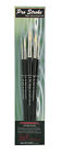 Psprvalue-set Creative Mark Pro Stroke Powrcryl Powercryl Round Set Of 5 709758215048