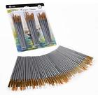 Pt002 Pantoneer Paintbrush Sets Pcs Assorted Brushes Purpose For 705419007878