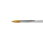 00090672944887 Rbm-2503 Royal Langnickel Clear Choice Gold Taklon Brushes Round