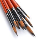 Rmnujzxyjt Professional Paint Brushes Round Brush Set Fot 829380768641