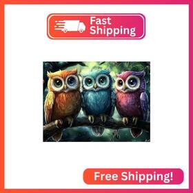 Wx10695 Senqao Owl Diamond Art Kits For Adults Diy 5d 3 Colorful Owls Painting