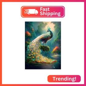Wx3493 Senqao Peacock Diamond Painting Kits For Adults Diy 5d