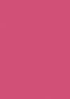 Sf910 Kaisercraft Hibiscus Art Foam Sheet 883416039105
