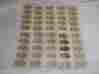 Sheets5 Antique Acme Decalcomania 1277 Rose Flower Decals Restoration 10 Unused