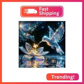 Sh053 Shicernhj Hummingbird Diamond Art Kits For Adults Diy Bird Painting