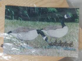 410-411 Shoreline Canada Goose Ma Pa Pair Unpainted Wood Surface And Pattern Garden Pets 410 411