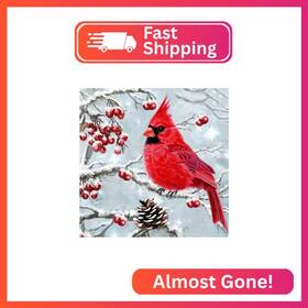 Sjt-d078 Sjutouci Diamond Painting Kits For Adults Winter Cardinal Art