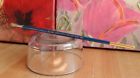 Sunchaser Cjas Charles Sovek Vintage Flat Art Artist Watercolor Brush