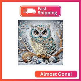 Suutang-owl1 Suutang 5d Special Shape Owl Diamond Art Painting Kits For Adults Crystal Rhine