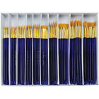 Svt7-120 Royal Brush Taklon Boxed 090672275363