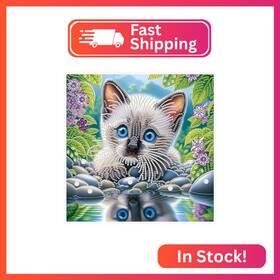 At932 Tontut Diamond Art Painting Kit Blue Eyes Reflection Cat 5d Diy Special Shape M