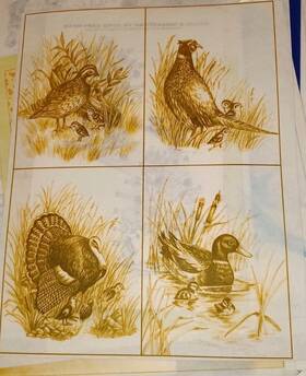 0936 Tri-chem Wild Bird Watcher Picture To Paint Trichem 4 Panels 6x8 Inch