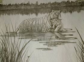 7090 Tri-chem Hg Tiger And Cub In Water Suede Liquid Embroidery Picture 18x24 Inch