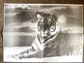 7263 Tri-chem Ready To Paint Liquid Embroidery Vtg Tiger Big Cats Col