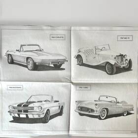 7596 Tri-chem 4 Classic Cars Pictures To Paint T-bird Mg Tc Mustang Corvette