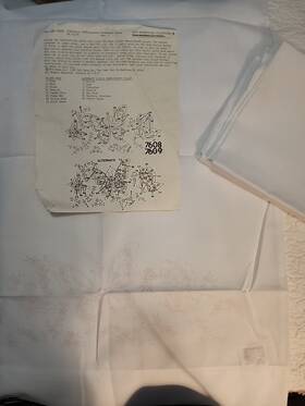 7608 Tri-chem Vintage Nos Butterflies Pillowcases Set Of 2 Ready Paint Picture