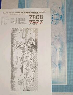 7808 Tri-chem 7877 O Goose Girl With Geese Picture To Paint Trichem 9x18 Inch