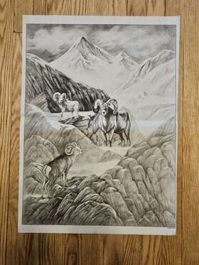 8040 Tri-chem Mountain Monarch Bighorn Sheep 18x24 Picture To Paint Nos 1984 Usa
