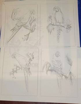 8069 Tri-chem Tropical Parrots Set Suede Ready To Paint Picture 4 Panels 6x8 Inch