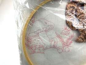 8112 Tri-chem Mushroom Butterfly Mcm Picture To Paint Hoop Pattern Tole Nos