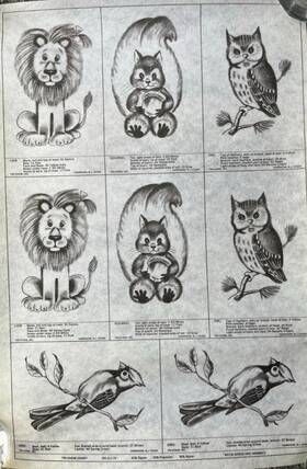 9730 Tri Chem Birds And Animals Picture To Paint Pattern