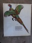 Vdd-11 Vtg Lindgren Turner Large Ringneck Chinese Pheasant Decal