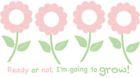 Wpk0024 Wallpops Forget Me Not 091212552760