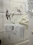 Tri Chem Stamped #2912 Country Goose Pillow Cover 1985 Paint/leave With Lace. Fixed Price $12.50.