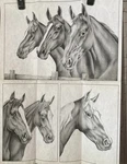 Tri Chem 8227 Horse Heads Picture To Paint & Instructions Vintage Usa 1978. Fixed Price $15.00.