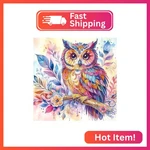 Mvvmtop Diamond Art Painting Kit, Diy Colored Owl 5D Special Shape Crystal. Fixed Price $13.32.
