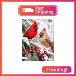 Qenspe 5D Diamond Art Cardinal Birds Diy Round Full Drill Painting Kits. Fixed Price $6.72.