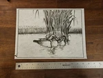 Tri-chem 7082 Wood Ducks Picture Paint Outdoor Water Fowl 12"X9" Nos 1985 Usa. Fixed Price $15.00.