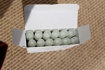Paint Markers Sakura Solid 12 Pack Glow Dark XSC-300. Fixed Price $176.00.
